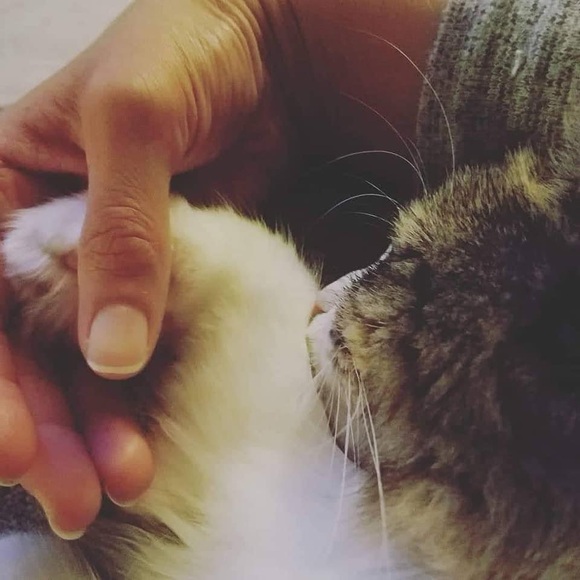 Meet your Posher, Elizabeth - Picture 9 of 14